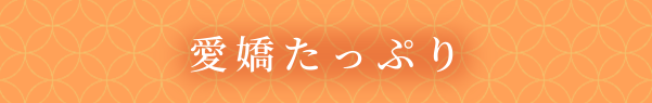 愛嬌たっぷり 